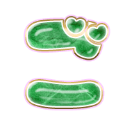 060