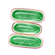 112