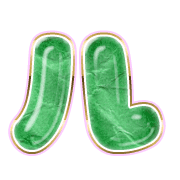 121