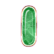 199