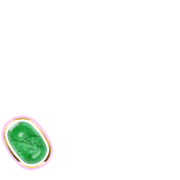 256