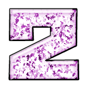 215