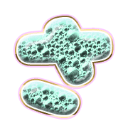 011