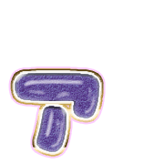 127