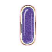 199