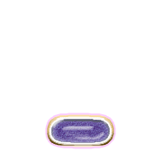 250