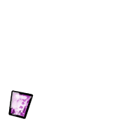245