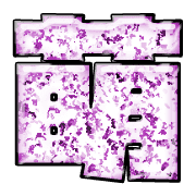 297