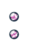 244