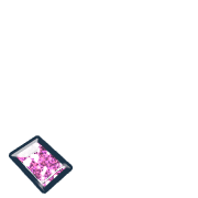 256