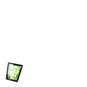 245