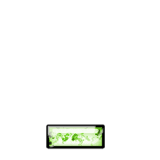 250