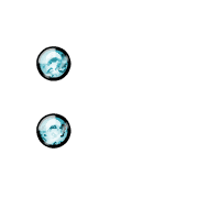 244