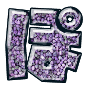080