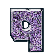204