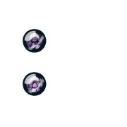 244