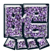 298