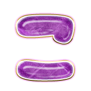 010