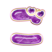 060