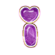 196