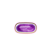 251