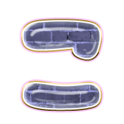 010