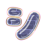 092