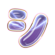 092