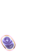 256