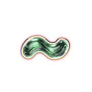 224