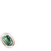 256