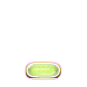 250