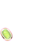 256