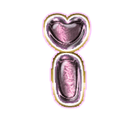 196