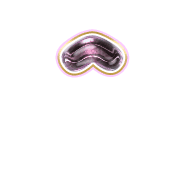 231