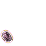 256