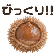 025
