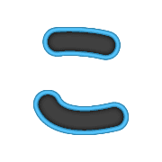 010