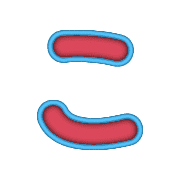 010