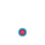 246