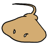 004