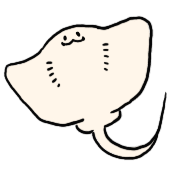 005
