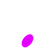 246