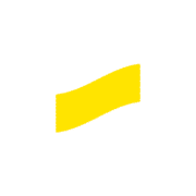 251