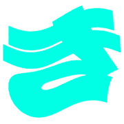 007