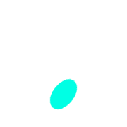 246