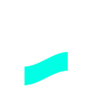 250