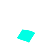 256