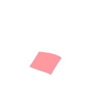 256