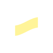 251